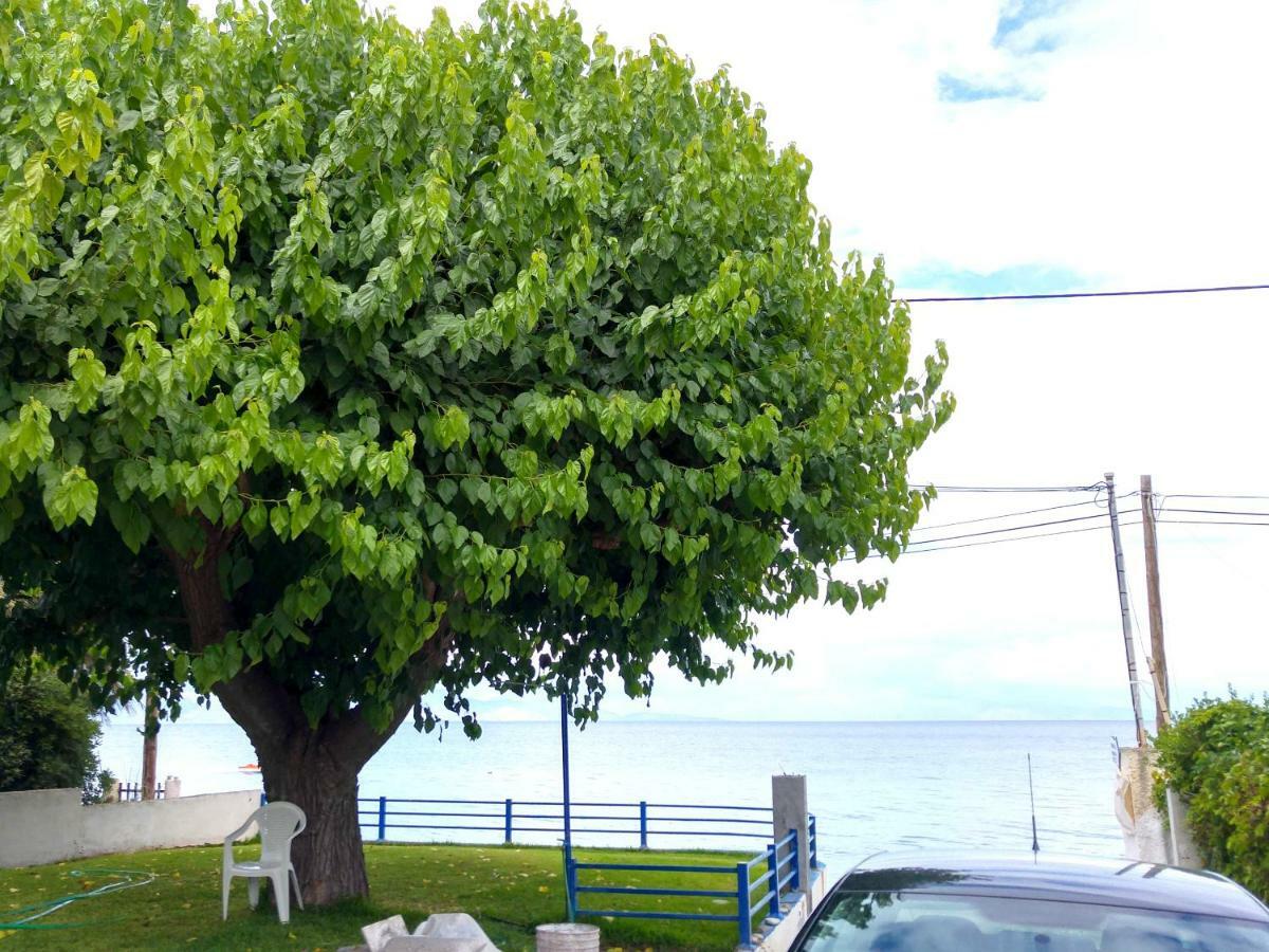 Papadogiannopoulos House Aigio Bagian luar foto